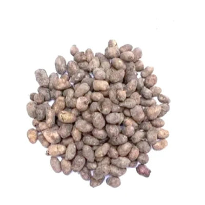 Syzgium Cumini Seed