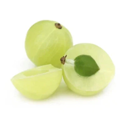 Phyllanthus Emblica Extract