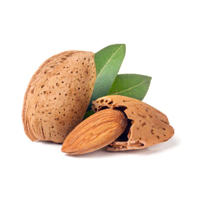 Prunus amygdalus Seed